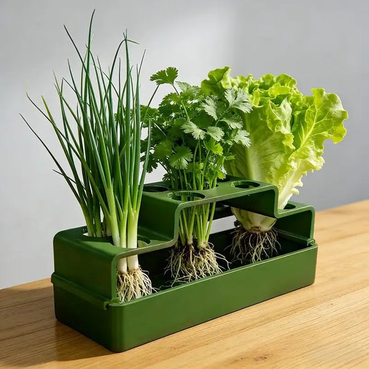 Scallion Planter