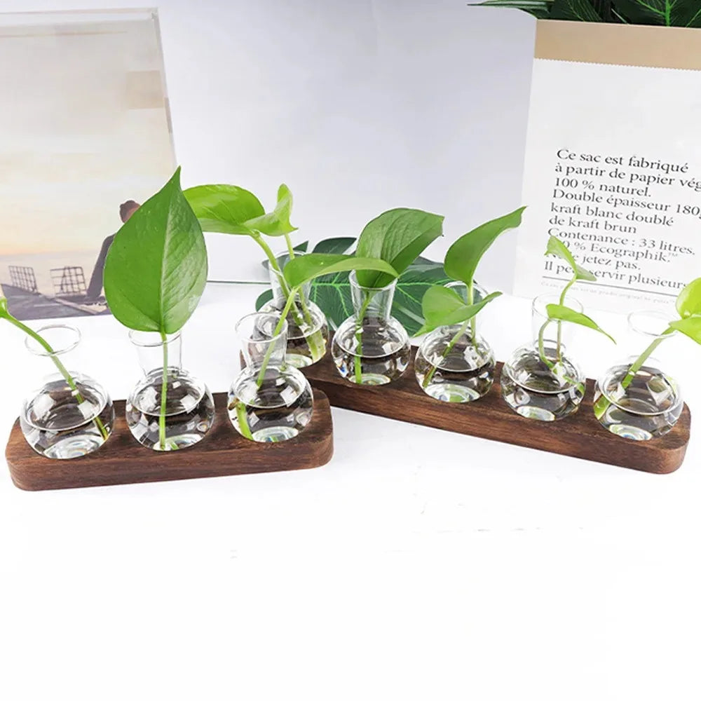 Modern Glass Plant