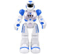 Smart Robot Toy