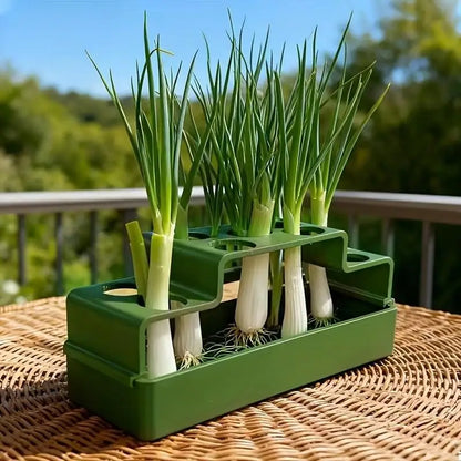 Scallion Planter