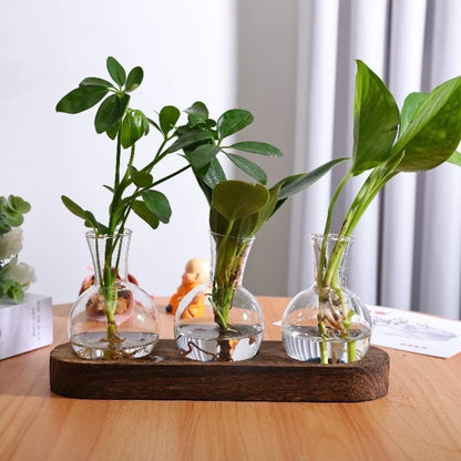 Modern Glass Plant