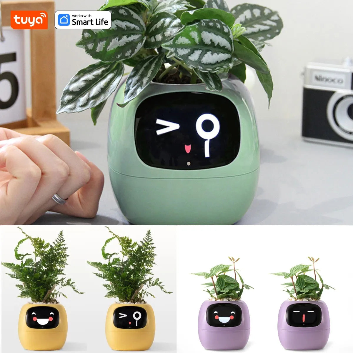 Tuya Smart Planter