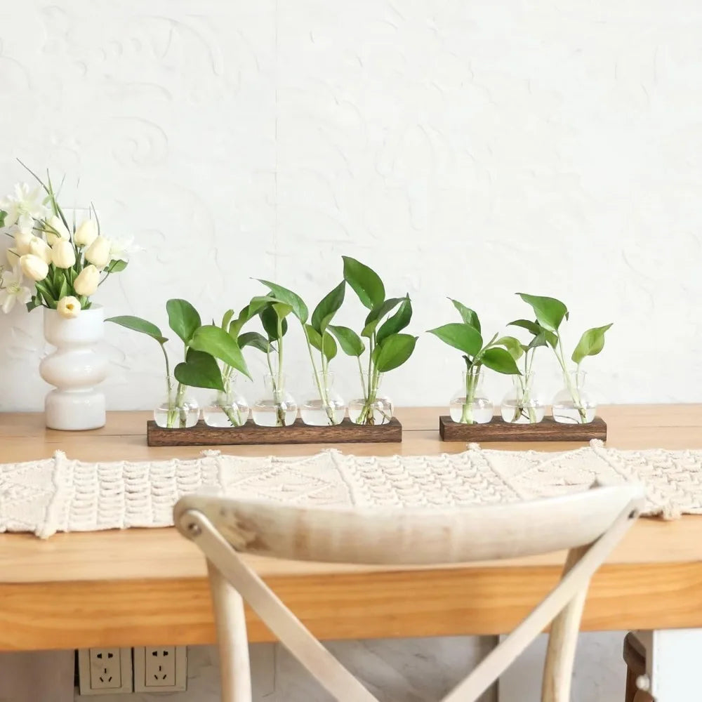 Modern Glass Plant