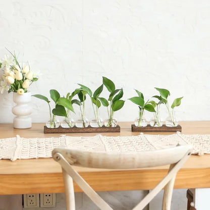 Modern Glass Plant