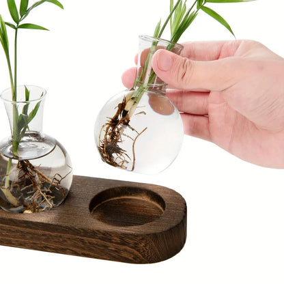 Modern Glass Plant