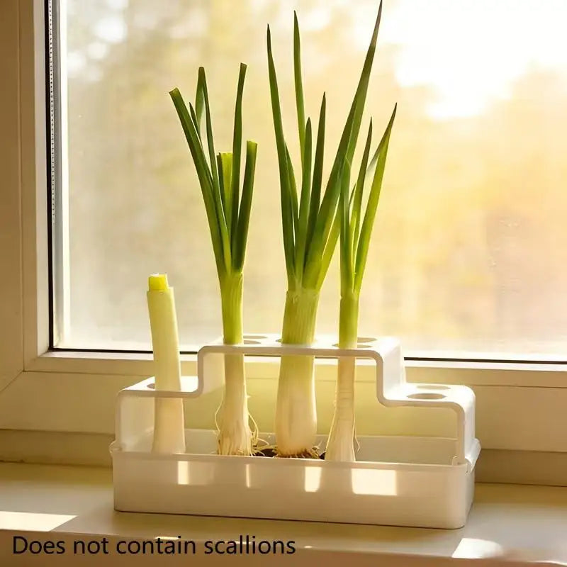 Scallion Planter