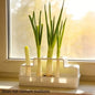 Scallion Planter