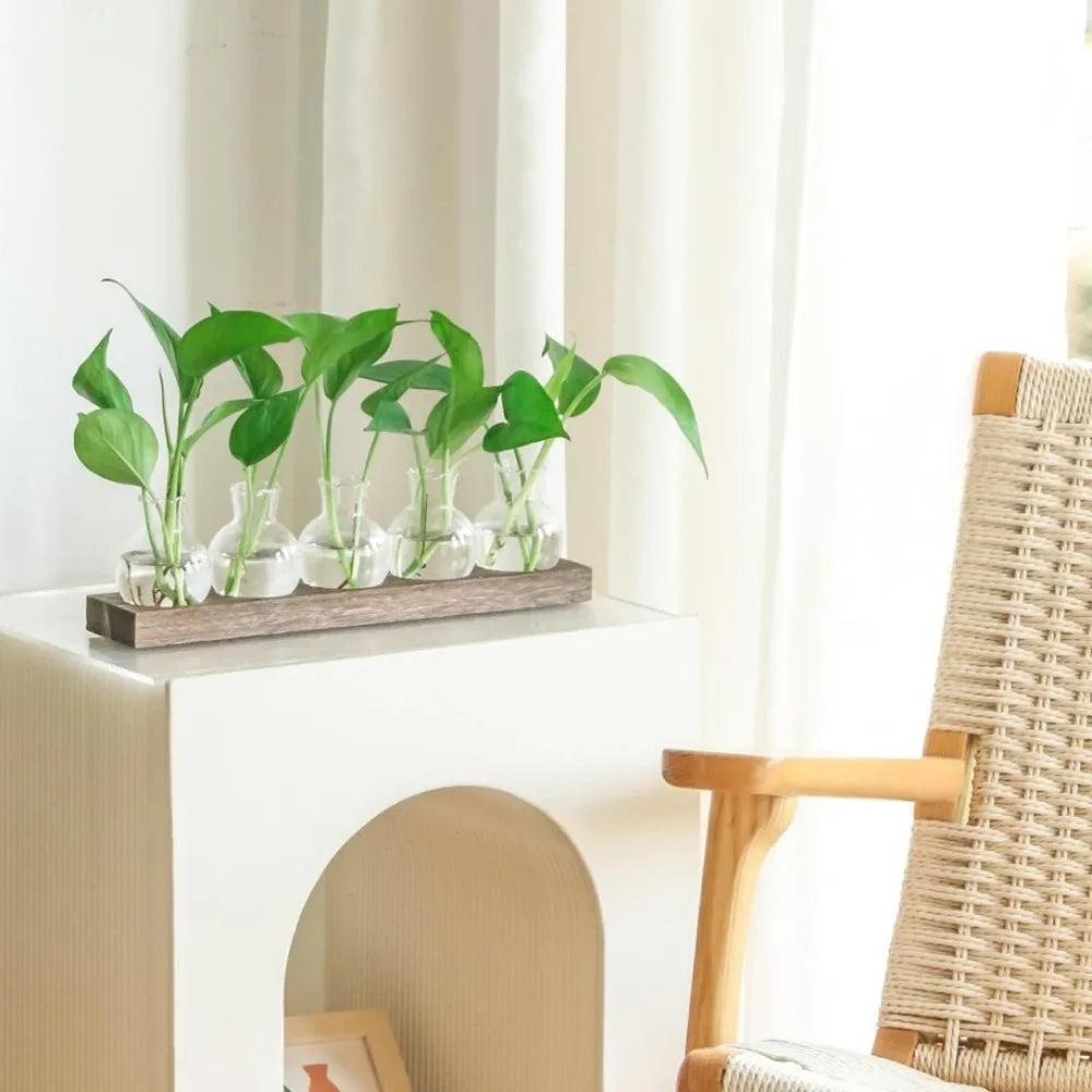 Modern Glass Plant