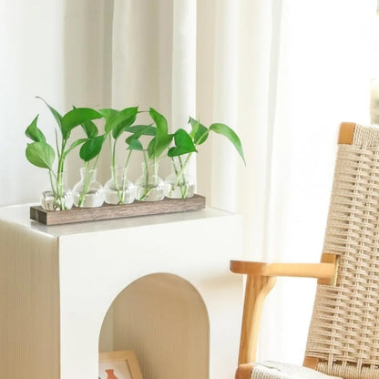 Modern Glass Plant