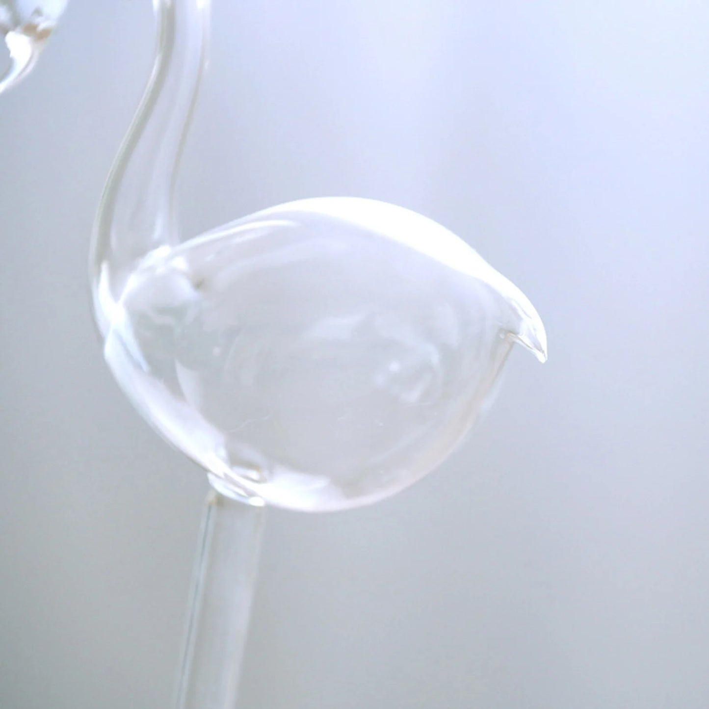 Swan Water Globe