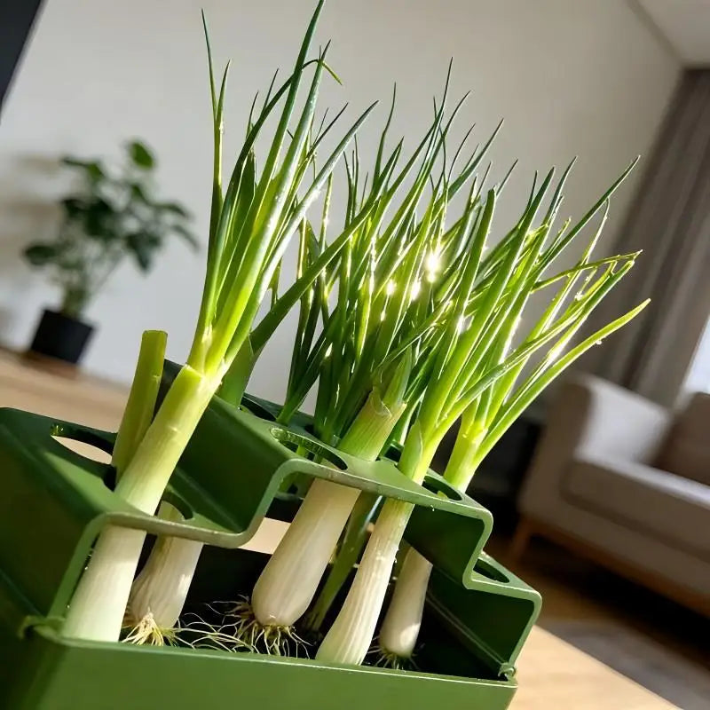 Scallion Planter