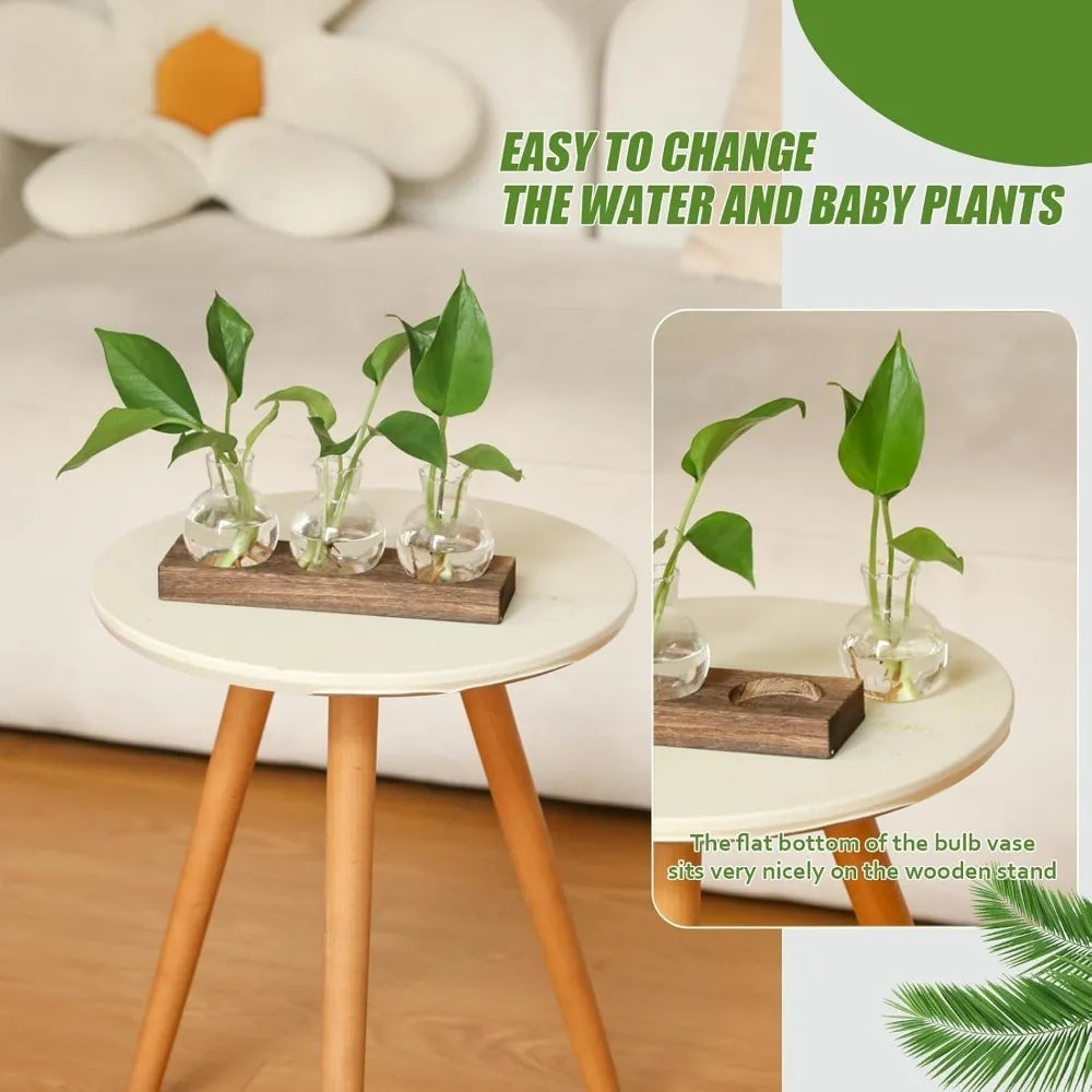 Modern Glass Plant