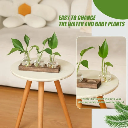 Modern Glass Plant
