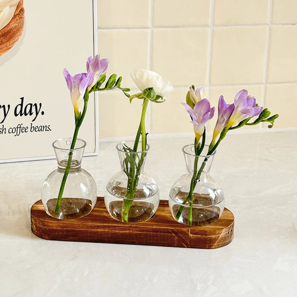 Modern Glass Plant