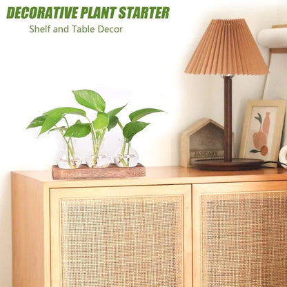 Modern Glass Plant
