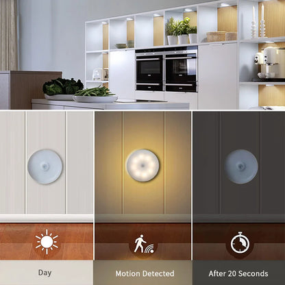 LED Night Light